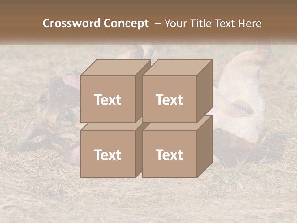 Humor Shows Adorable PowerPoint Template