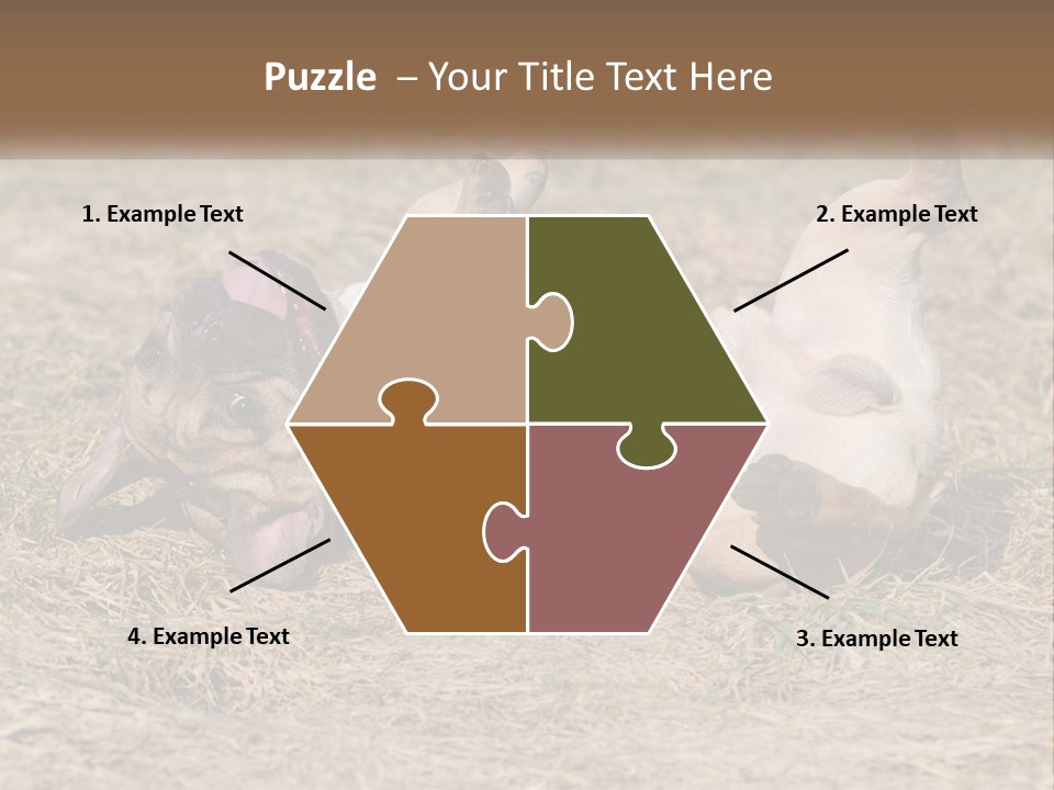 Humor Shows Adorable PowerPoint Template