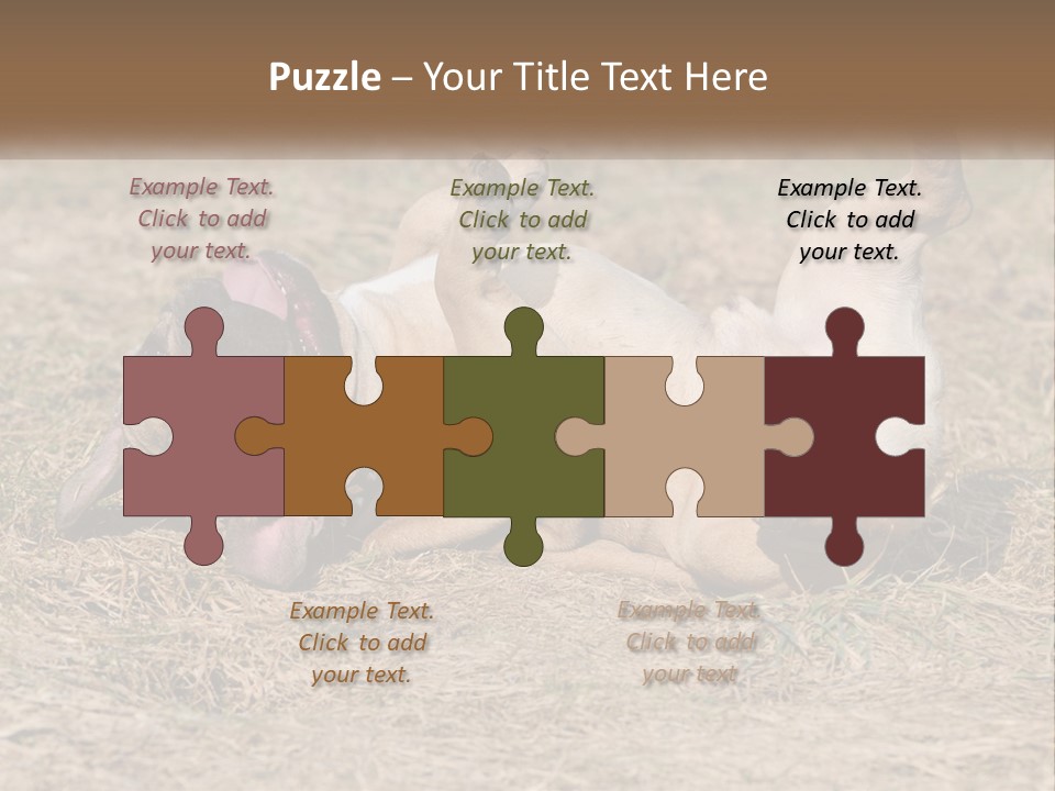 Humor Shows Adorable PowerPoint Template