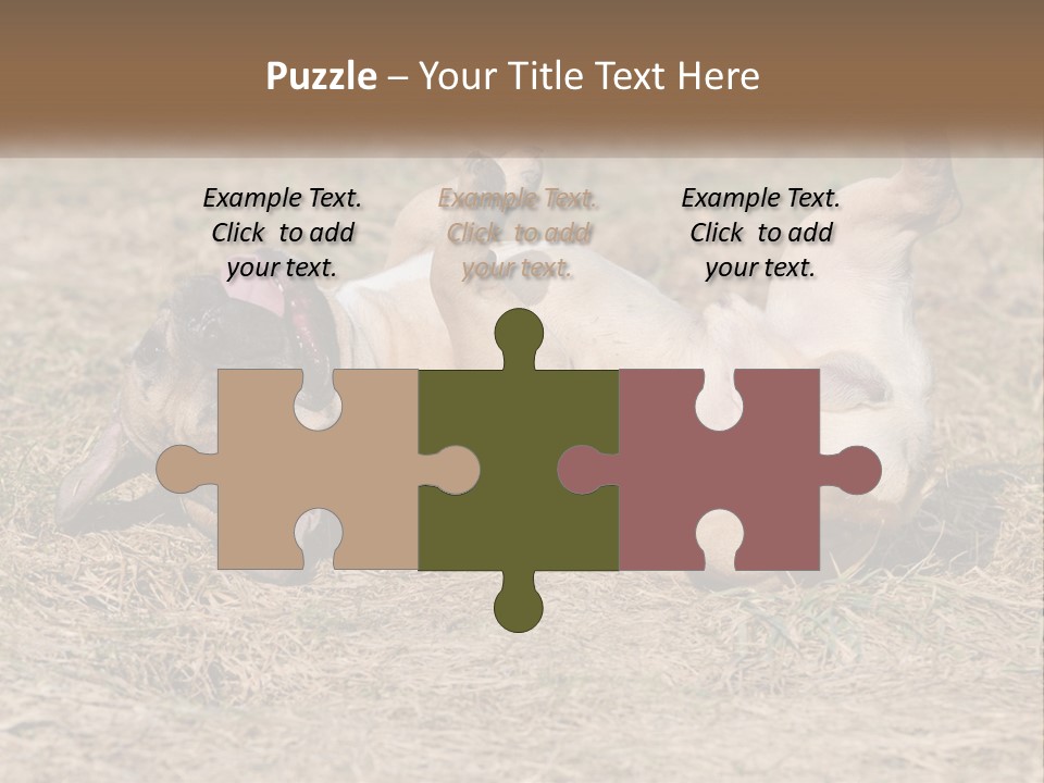 Humor Shows Adorable PowerPoint Template