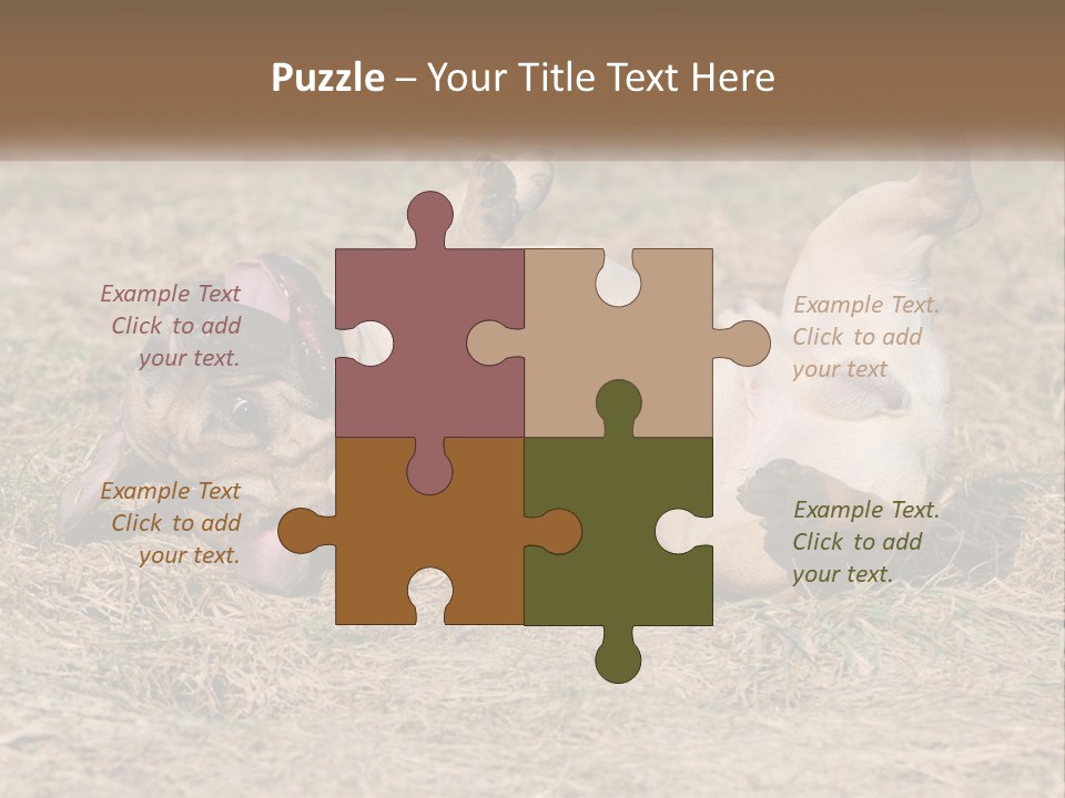 Humor Shows Adorable PowerPoint Template