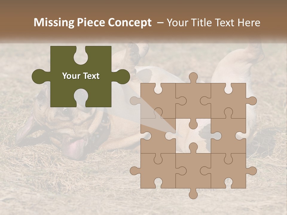 Humor Shows Adorable PowerPoint Template