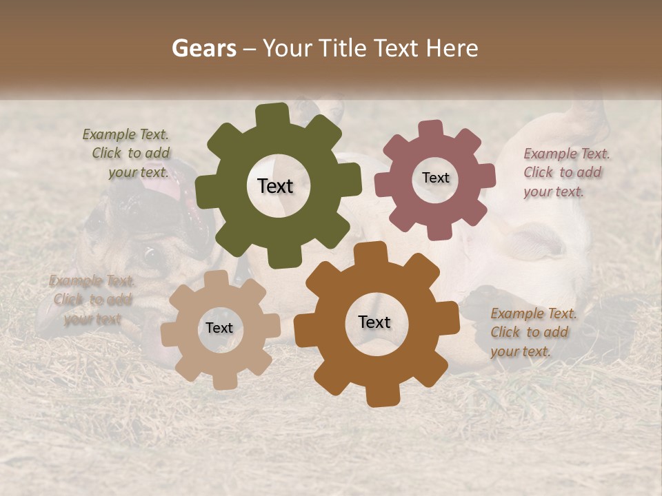 Humor Shows Adorable PowerPoint Template