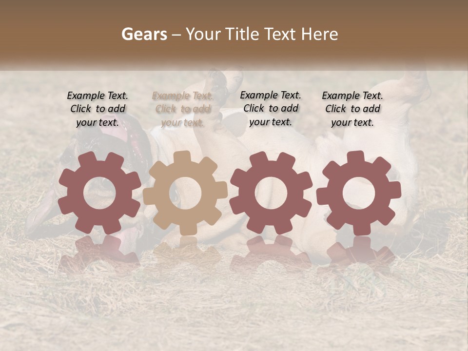 Humor Shows Adorable PowerPoint Template