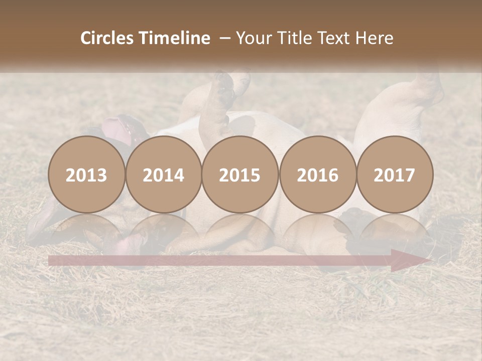 Humor Shows Adorable PowerPoint Template