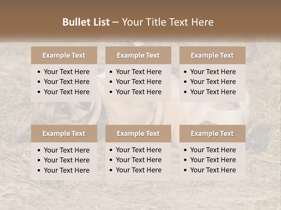 Humor Shows Adorable PowerPoint Template
