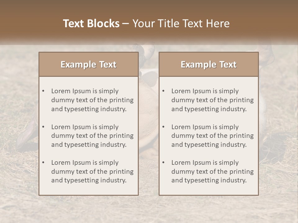 Humor Shows Adorable PowerPoint Template