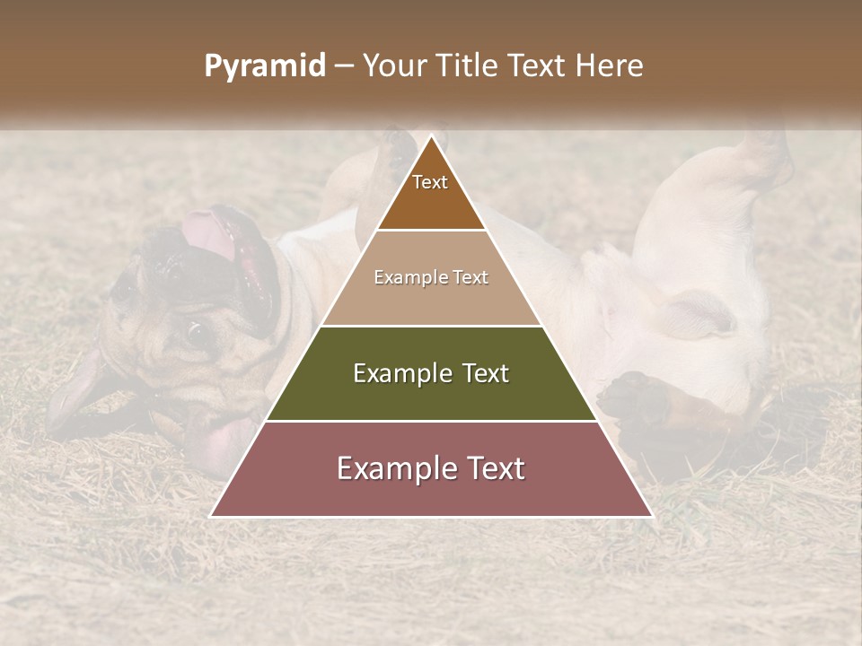 Humor Shows Adorable PowerPoint Template