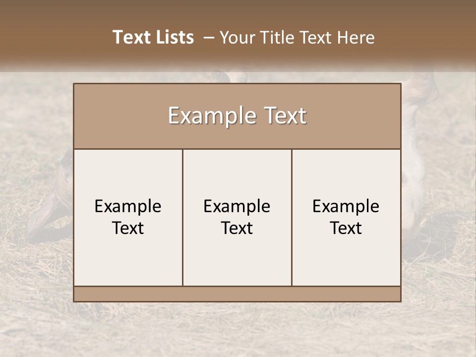 Humor Shows Adorable PowerPoint Template