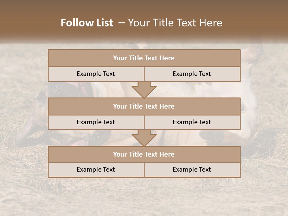 Humor Shows Adorable PowerPoint Template