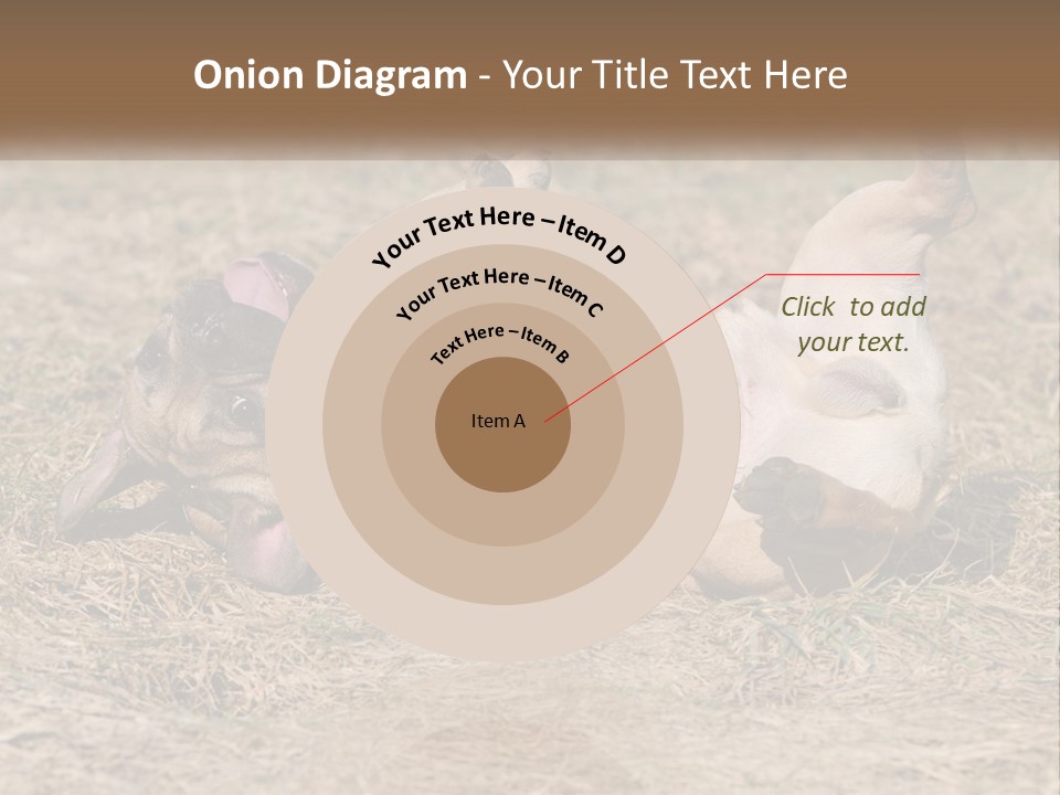 Humor Shows Adorable PowerPoint Template