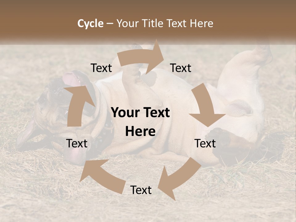 Humor Shows Adorable PowerPoint Template