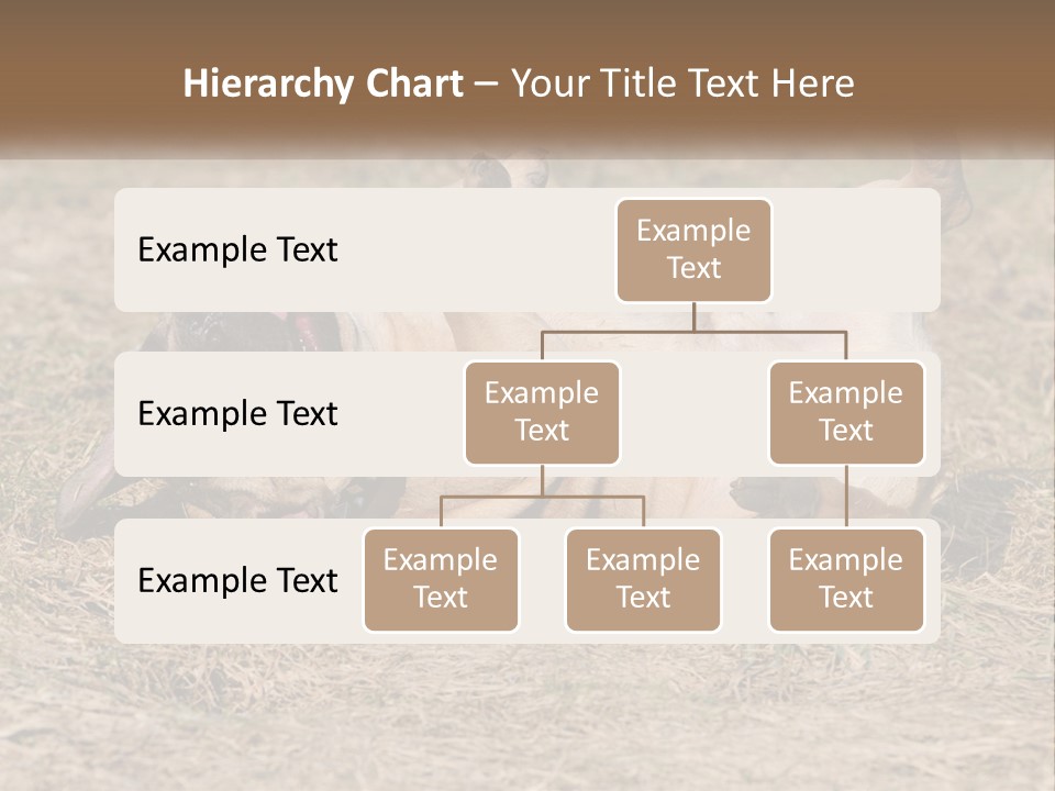 Humor Shows Adorable PowerPoint Template