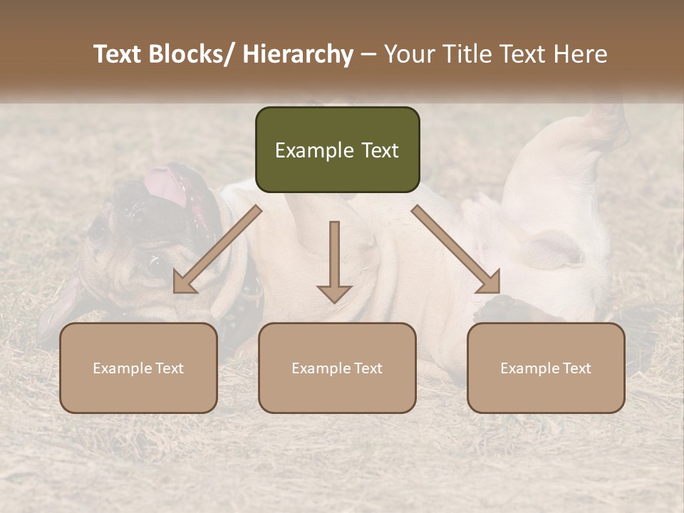 Humor Shows Adorable PowerPoint Template