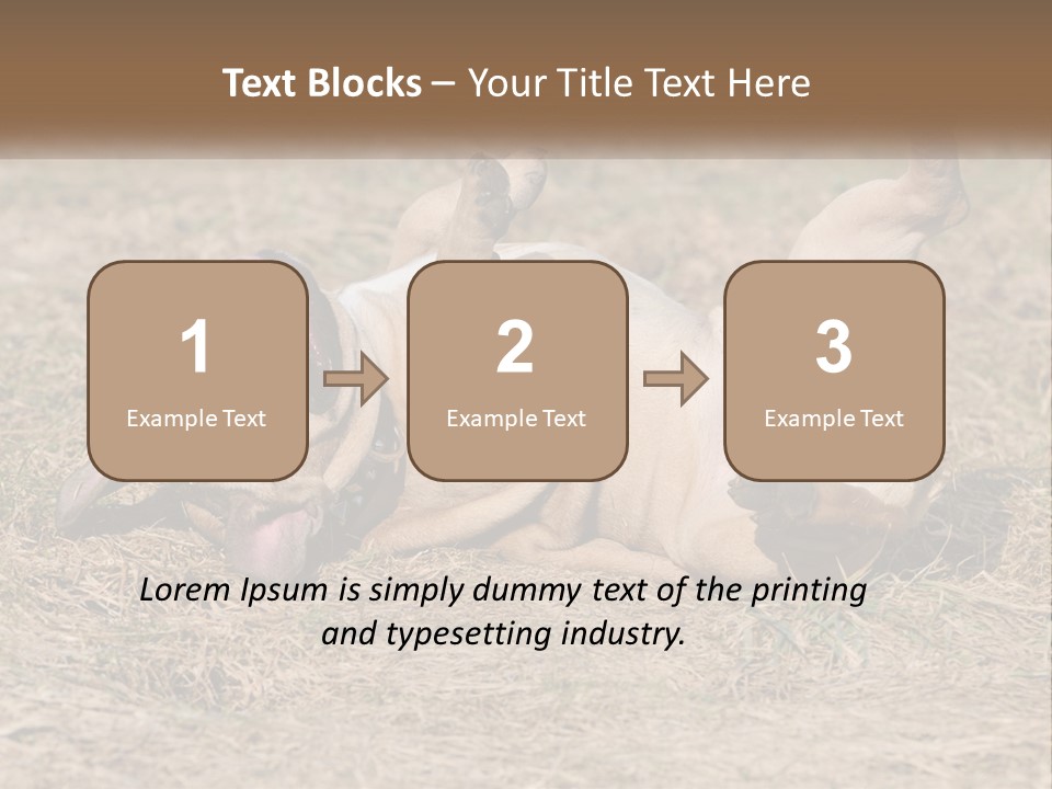 Humor Shows Adorable PowerPoint Template