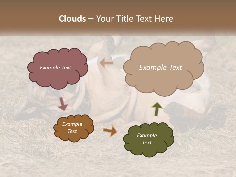 Humor Shows Adorable PowerPoint Template