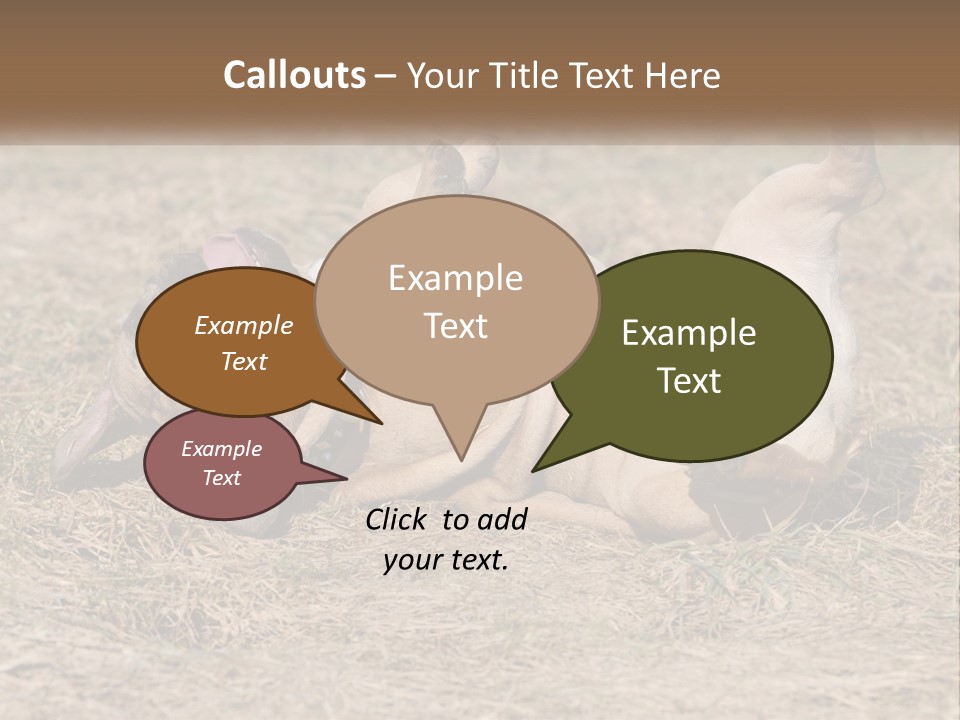 Humor Shows Adorable PowerPoint Template