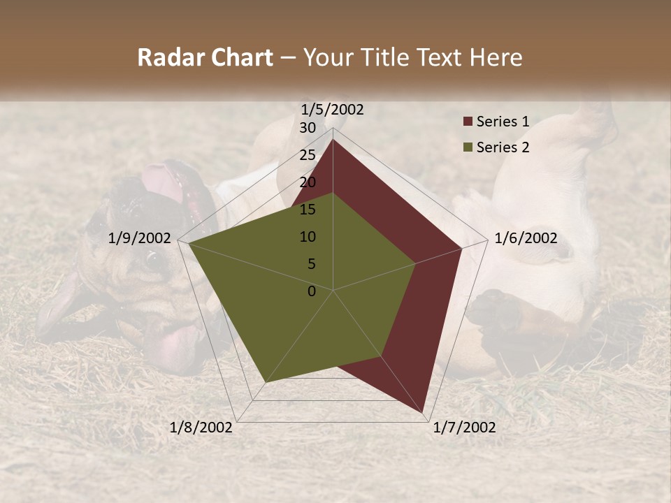 Humor Shows Adorable PowerPoint Template