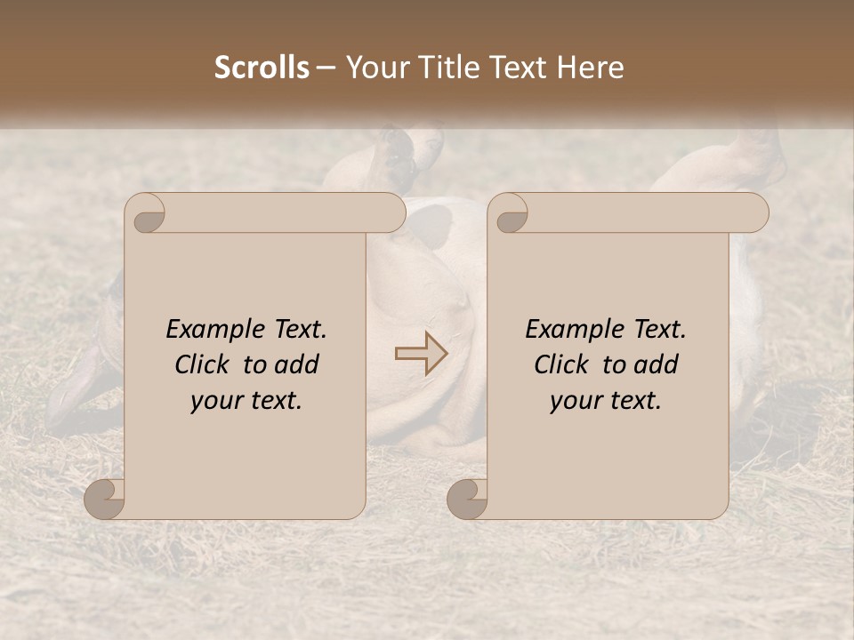 Humor Shows Adorable PowerPoint Template