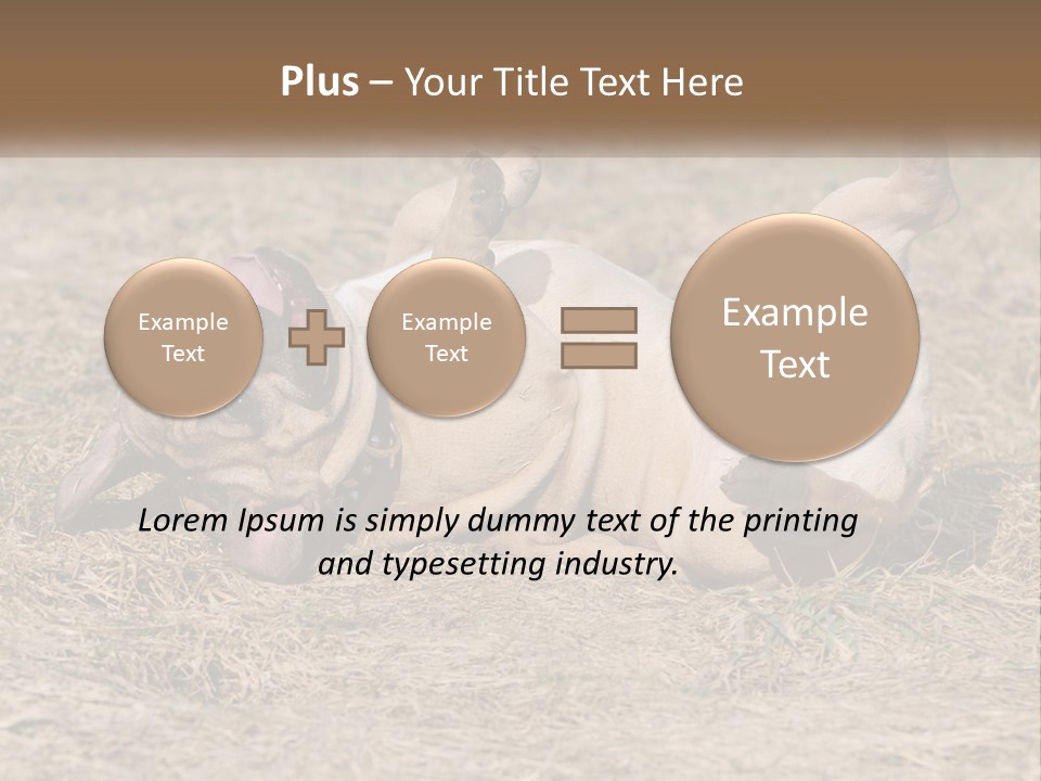 Humor Shows Adorable PowerPoint Template