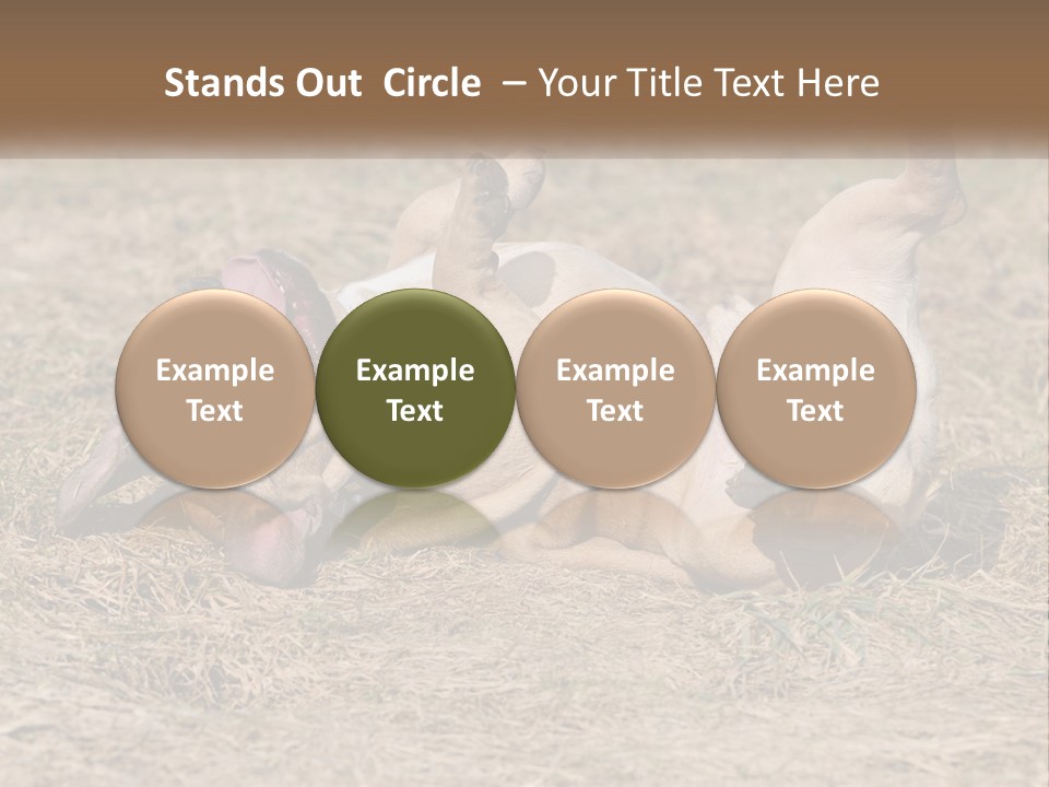 Humor Shows Adorable PowerPoint Template