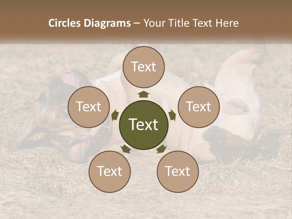 Humor Shows Adorable PowerPoint Template