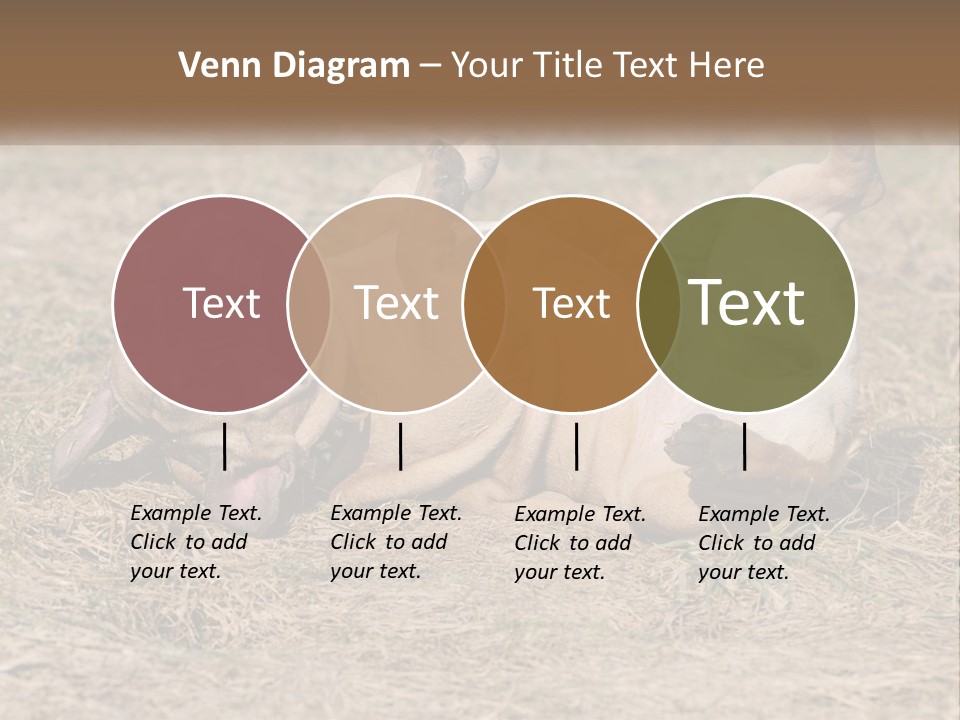 Humor Shows Adorable PowerPoint Template