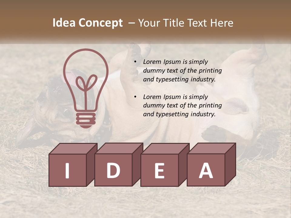 Humor Shows Adorable PowerPoint Template