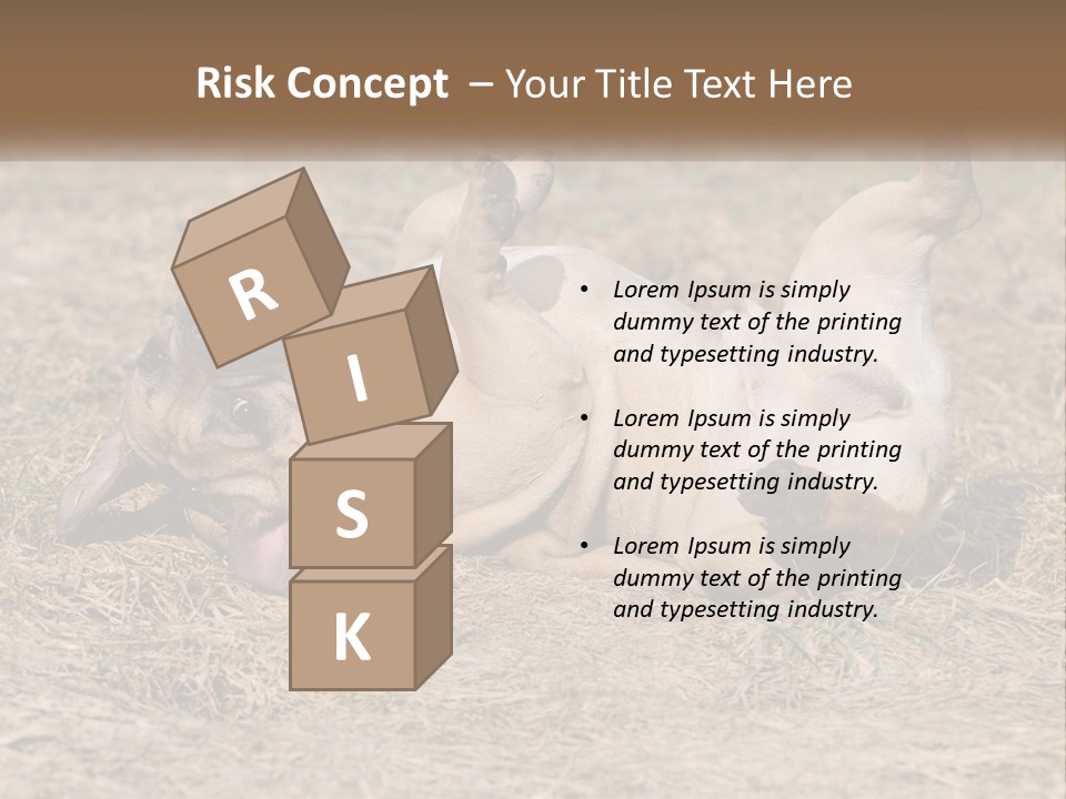 Humor Shows Adorable PowerPoint Template