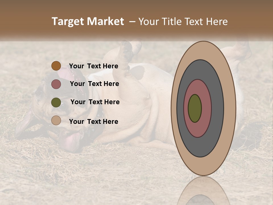 Humor Shows Adorable PowerPoint Template