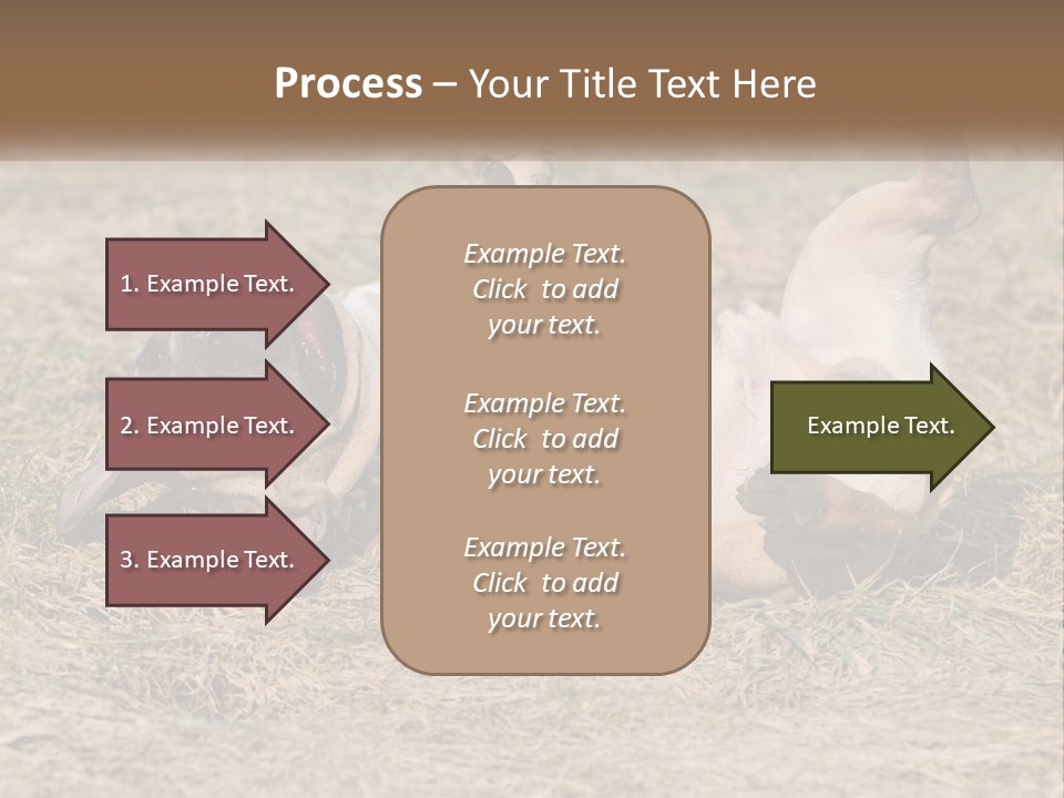 Humor Shows Adorable PowerPoint Template
