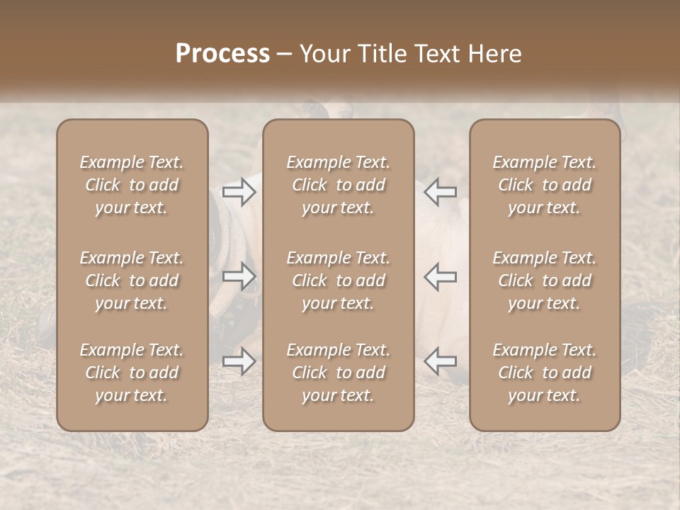Humor Shows Adorable PowerPoint Template