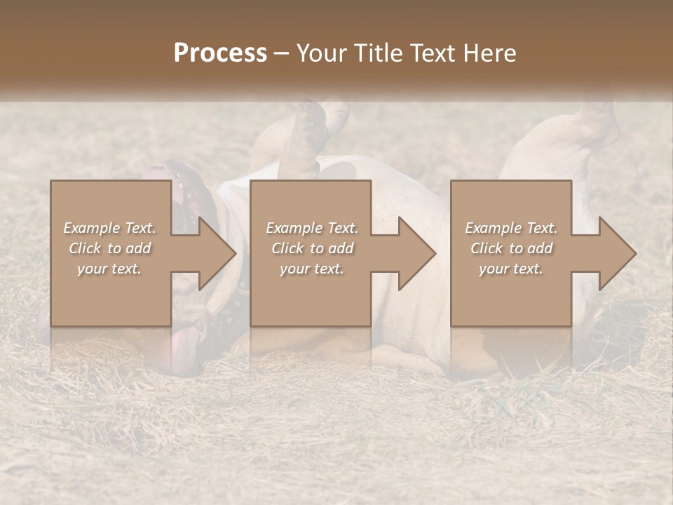 Humor Shows Adorable PowerPoint Template
