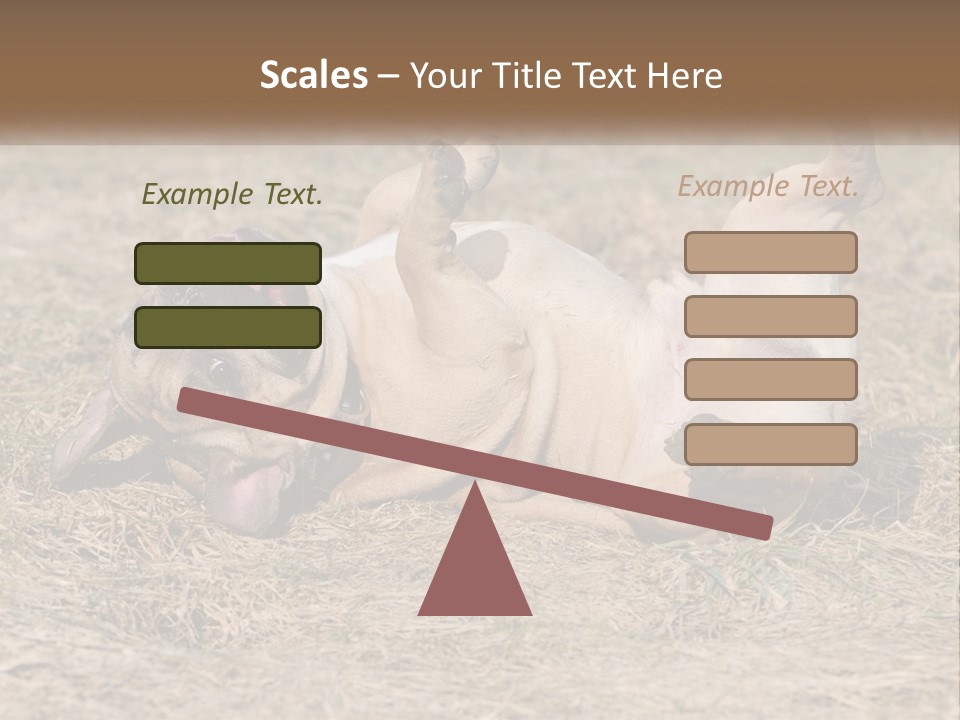 Humor Shows Adorable PowerPoint Template