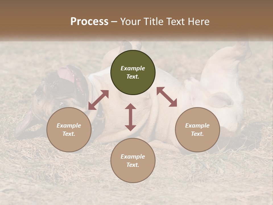 Humor Shows Adorable PowerPoint Template