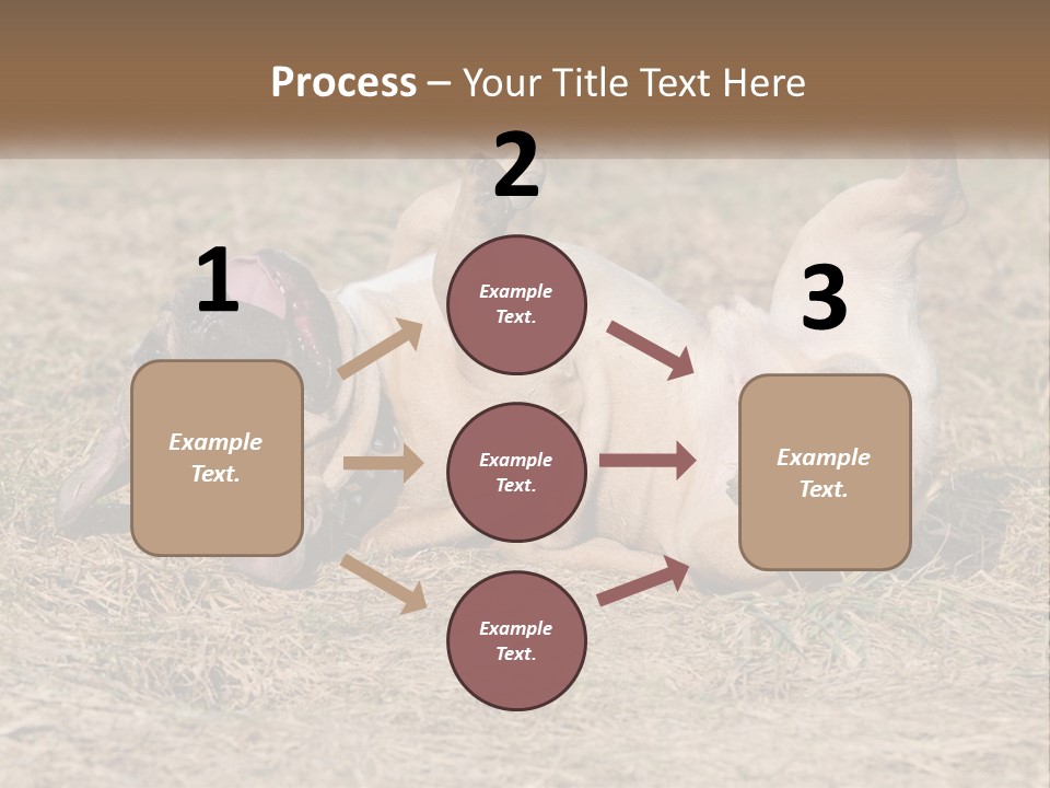 Humor Shows Adorable PowerPoint Template