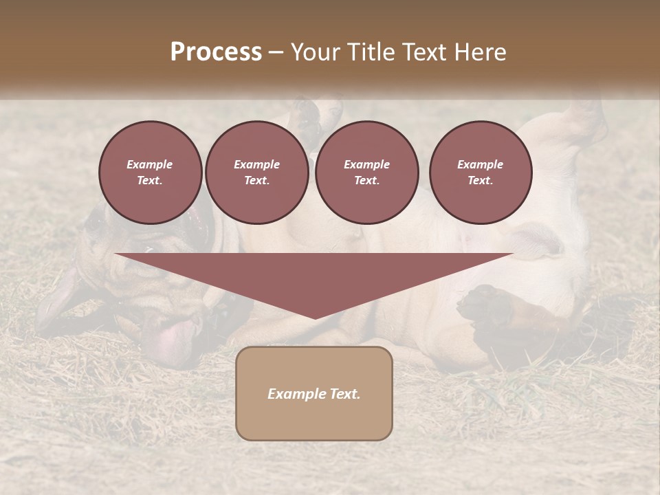 Humor Shows Adorable PowerPoint Template