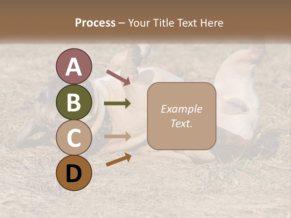 Humor Shows Adorable PowerPoint Template