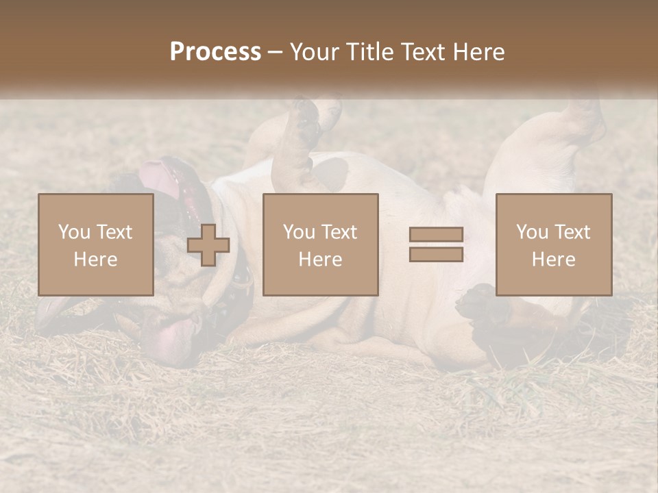 Humor Shows Adorable PowerPoint Template