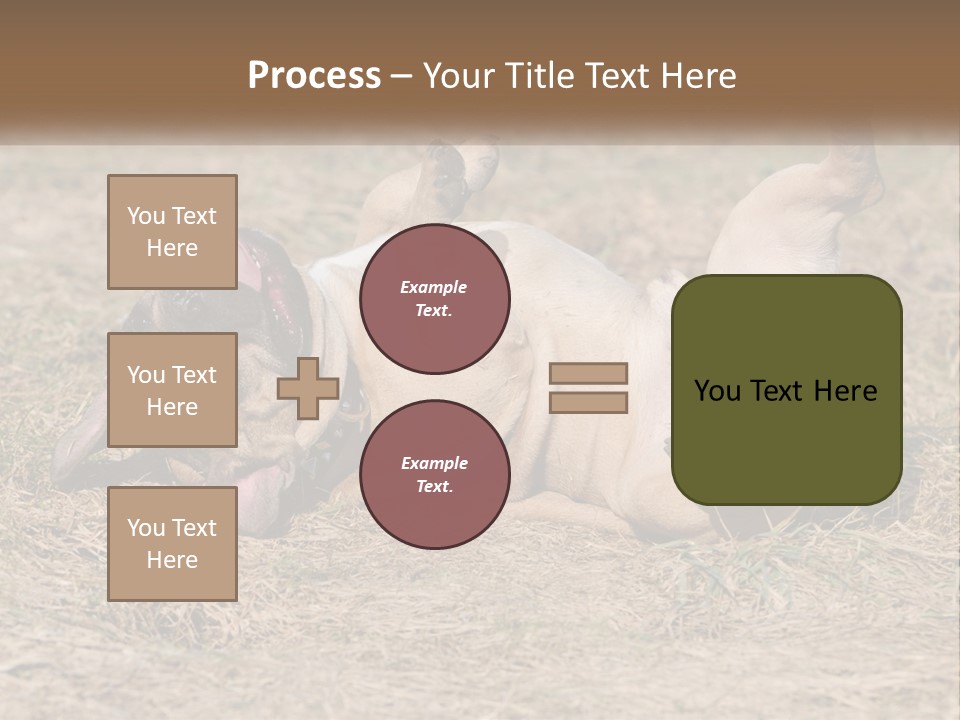 Humor Shows Adorable PowerPoint Template