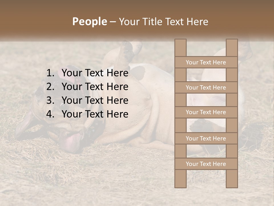 Humor Shows Adorable PowerPoint Template