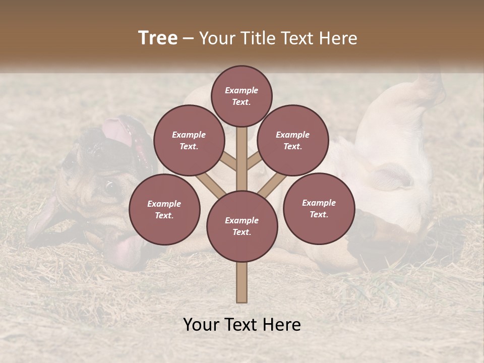 Humor Shows Adorable PowerPoint Template