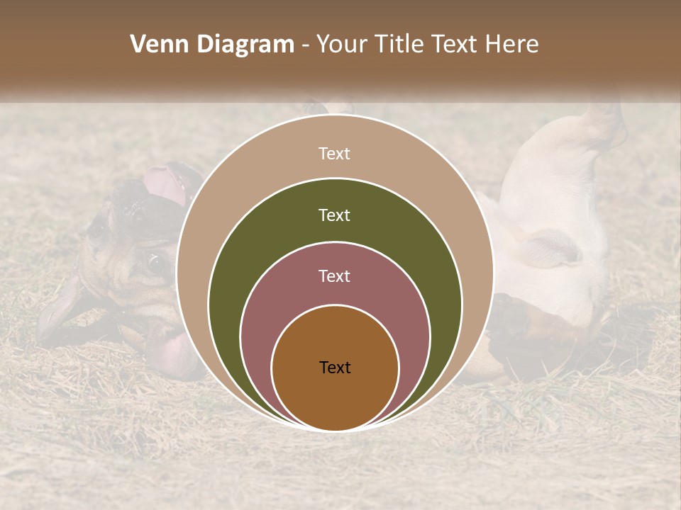 Humor Shows Adorable PowerPoint Template