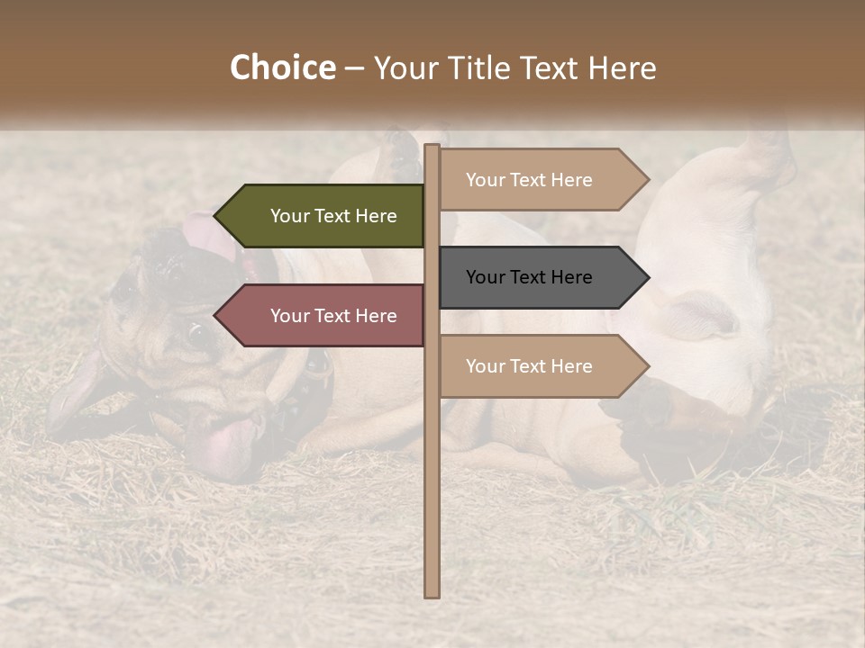 Humor Shows Adorable PowerPoint Template