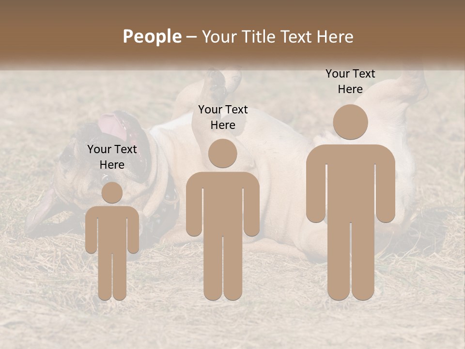 Humor Shows Adorable PowerPoint Template