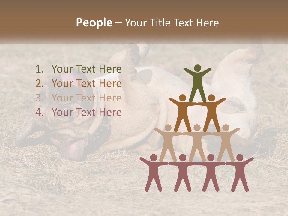 Humor Shows Adorable PowerPoint Template