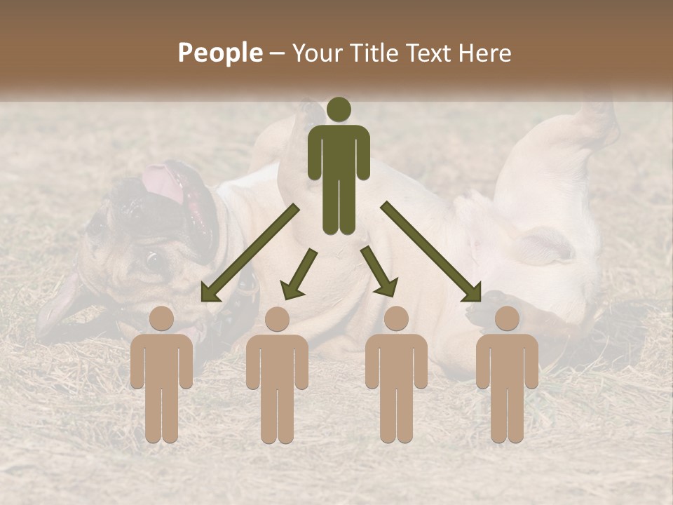 Humor Shows Adorable PowerPoint Template