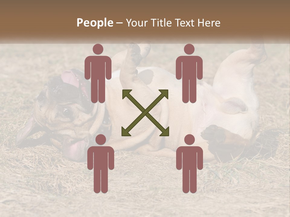 Humor Shows Adorable PowerPoint Template