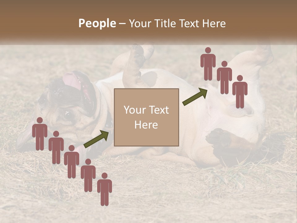 Humor Shows Adorable PowerPoint Template