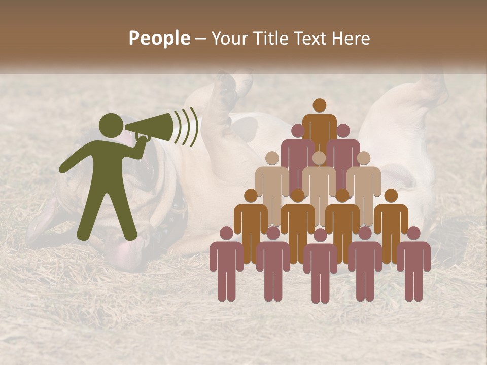 Humor Shows Adorable PowerPoint Template